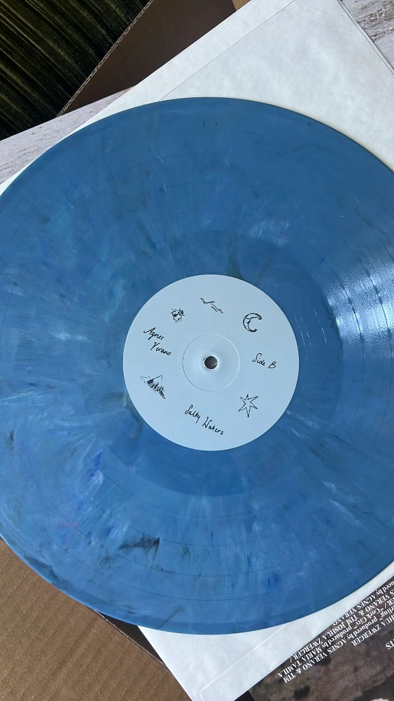 Vinyl.webp